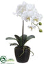 Silk Plants Direct Phalaenopsis Orchid Plant - Cream - Pack of 6