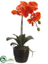 Silk Plants Direct Phalaenopsis Orchid Plant - Orange - Pack of 6