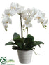 Silk Plants Direct Phalaenopsis Orchid Plant - White - Pack of 2