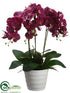 Silk Plants Direct Phalaenopsis Orchid Plant - Orchid - Pack of 2