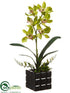 Silk Plants Direct Cymbidium Orchid Plant - Green Burgundy - Pack of 6