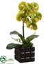 Silk Plants Direct Phalaenopsis Orchid Plant - Green - Pack of 6