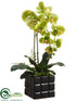 Silk Plants Direct Phalaenopsis Orchid Plant - Green - Pack of 4