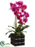 Silk Plants Direct Phalaenopsis Orchid Plant - Orchid - Pack of 4