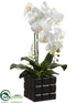 Silk Plants Direct Phalaenopsis Orchid Plant - White Yellow - Pack of 4