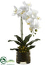 Silk Plants Direct Phalaenopsis Orchid Plant, Echeveria - White Yellow - Pack of 4