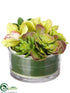 Silk Plants Direct Cymbidium Orchid, Succulent Arrangement - Green Burgundy - Pack of 4