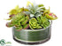 Silk Plants Direct Cymbidium Orchid, Succulent Arrangement - Green Burgundy - Pack of 4