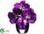 Vanda Orchid - Purple - Pack of 4