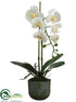 Silk Plants Direct Phalaenopsis Orchid Plant - White Yellow - Pack of 6