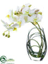 Silk Plants Direct Phalaenopsis Orchid - White - Pack of 6