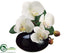 Silk Plants Direct Phalaenopsis Orchid - Cream Yellow - Pack of 6