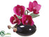 Silk Plants Direct Phalaenopsis Orchid - Violet Two Tone - Pack of 6