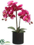 Silk Plants Direct Phalaenopsis Orchid Plant - Violet Two Tone - Pack of 6