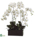 Silk Plants Direct Phalaenopsis Orchid Plant - White Green - Pack of 1