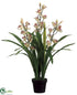 Silk Plants Direct Cymbidium Orchid Plant - Pink Burgundy - Pack of 2