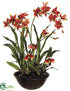 Silk Plants Direct Oncidium Orchid, Lady Slipper Orchid - Rust Green - Pack of 1