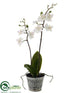 Silk Plants Direct Mini Phalaenopsis Orchid Plant - White - Pack of 12