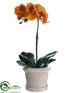 Silk Plants Direct Phalaenopsis Orchid Plant - Butter Scotch - Pack of 4