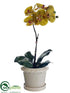 Silk Plants Direct Phalaenopsis Orchid Plant - Olive Green - Pack of 4