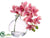 Phalaenopsis Orchid - Pink - Pack of 8