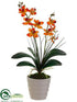 Silk Plants Direct Phalaenopsis Orchid Plant - Orange - Pack of 12