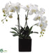 Silk Plants Direct Phalaenopsis Orchid Plant - Cream Yellow - Pack of 4