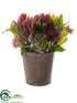 Silk Plants Direct Protea Arrangement - Burgundy Mauve - Pack of 1