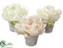 Silk Plants Direct Peony Namecard Holder - Assorted - Pack of 12