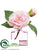Peony - Pink - Pack of 8