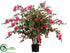 Silk Plants Direct Bougainvillea Plant - Beauty - Pack of 2