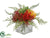 Protea, Fern - Mixed - Pack of 4
