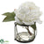 Peony - White - Pack of 1