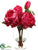 Peony - Beauty - Pack of 4