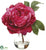 Peony - Beauty - Pack of 4