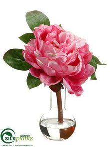 Peony - Fuchsia Pink - Pack of 4