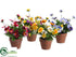 Silk Plants Direct Pansy - Mixed - Pack of 8