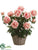 Peony - Pink - Pack of 1
