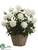 Peony - Cream - Pack of 1