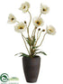 Silk Plants Direct Poppy - Cream - Pack of 12