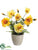 Poppy - Yellow Two Tone - Pack of 6
