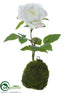 Silk Plants Direct Rose - Cream - Pack of 6