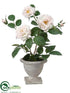 Silk Plants Direct Rose - White - Pack of 2