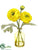 Ranunculus - Yellow - Pack of 12
