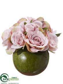 Rose - Mauve - Pack of 4