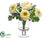 Ranunculus - Cream Green - Pack of 4