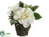 Silk Plants Direct Rose, Sedum - White Green - Pack of 6
