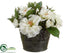 Silk Plants Direct Rose, Sedum - White Green - Pack of 4