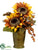 Sunflower, Berry - Mustard Gold - Pack of 6