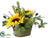 Sunflower, Lavender, Olive - Yellow Green - Pack of 4